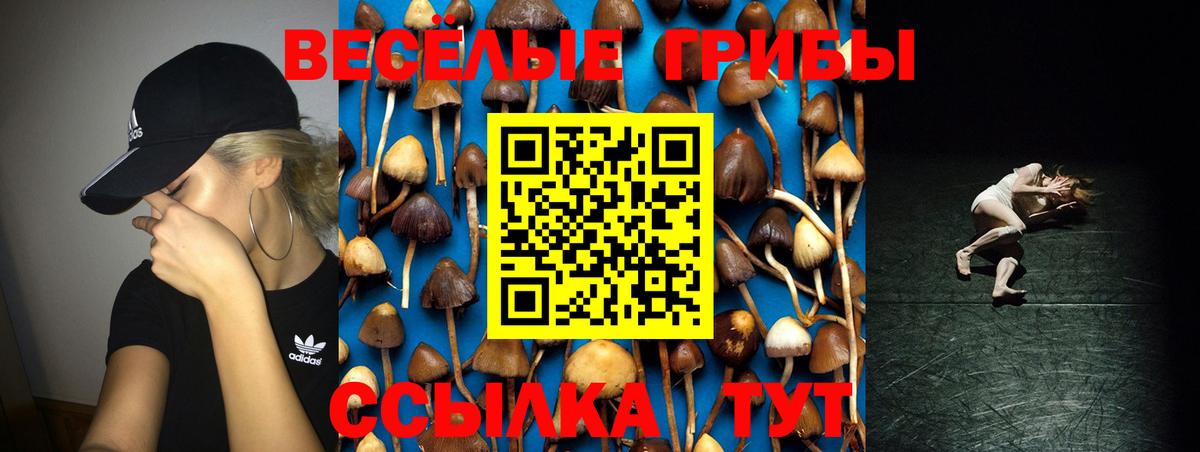 Галлюциногенные грибы Psilocybe Обнинск